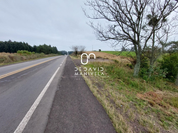 Imóvel com 2 Quartos à Venda, 16.846 m² em Zona Rural - São Pedro Do Sul