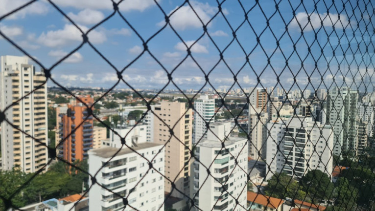 Imagem Imóvel com 4 Quartos para Alugar, 466 m² em Moema - São Paulo Imagem Imóvel com 4 Quartos para Alugar, 466 m² em Moema - São Paulo