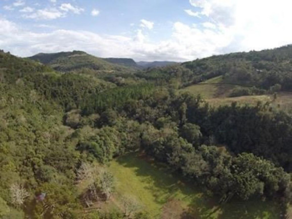 Imagem Imóvel à Venda, 223.400 m² em Linha Forqueta - Gramado