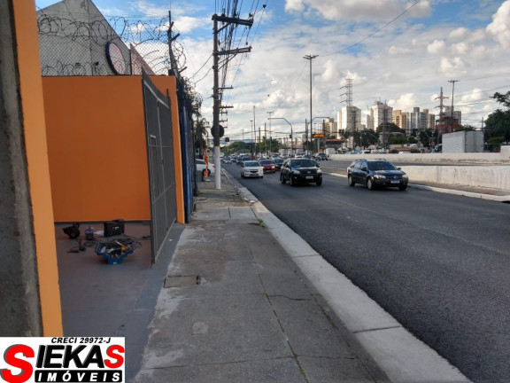 Imagem Imóvel para Alugar, 300 m² em Tatuapé - São Paulo Imagem Imóvel para Alugar, 300 m² em Tatuapé - São Paulo