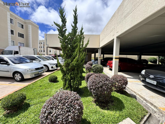 Imagem Apartamento com 2 Quartos à Venda, 47 m² em Boneca Do Iguaçu - São José Dos Pinhais