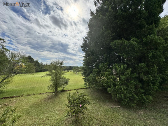 Imagem Terreno à Venda, 2.500 m² em Campo Largo Da Roseira - São José Dos Pinhais Imagem Terreno à Venda, 2.500 m² em Campo Largo Da Roseira - São José Dos Pinhais