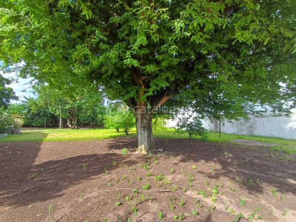 Imagem Terreno à Venda, 23.650 m² em Igapó - Natal Imagem Terreno à Venda, 23.650 m² em Igapó - Natal