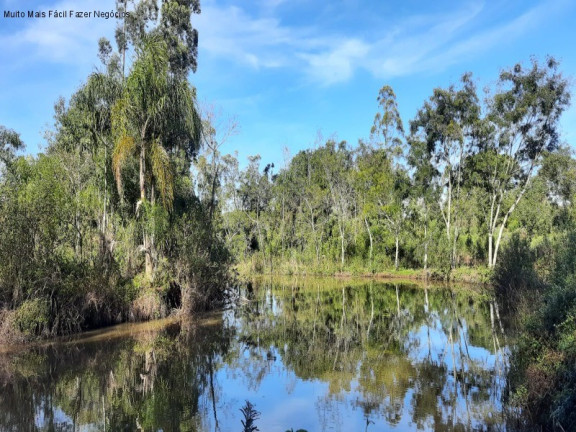 Imagem Terreno à Venda, 1 m² em Br 116 - Nova Petrópolis Imagem Terreno à Venda, 1 m² em Br 116 - Nova Petrópolis