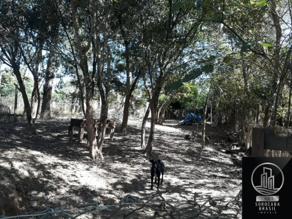 Imagem Imóvel com 3 Quartos à Venda, em Aracoiaba Da Serra - Araçoiaba Da Serra Imagem Imóvel com 3 Quartos à Venda, em Aracoiaba Da Serra - Araçoiaba Da Serra