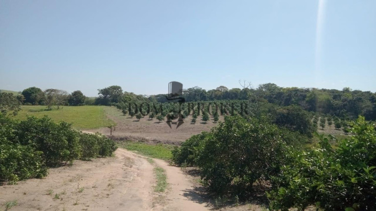 Fazenda à Venda, 555.000 m² em Sao Vicente - Araruama