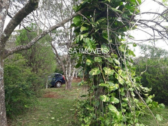 Imagem Imóvel com 2 Quartos à Venda, em Zona Rural - Batatais Imagem Imóvel com 2 Quartos à Venda, em Zona Rural - Batatais