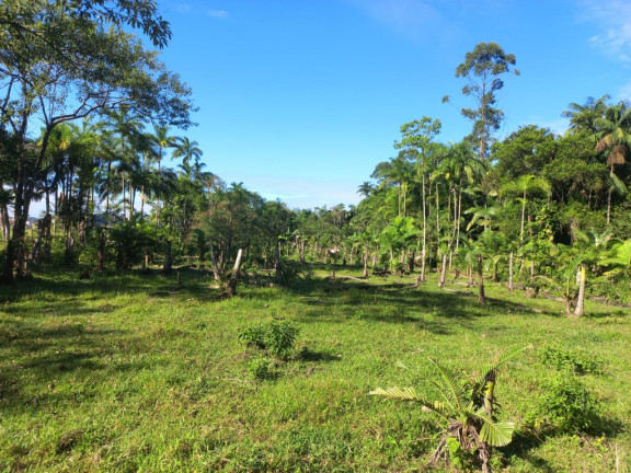 Imagem Terreno à Venda, 9.000 m² em Vila Nova - Joinville Imagem Terreno à Venda, 9.000 m² em Vila Nova - Joinville