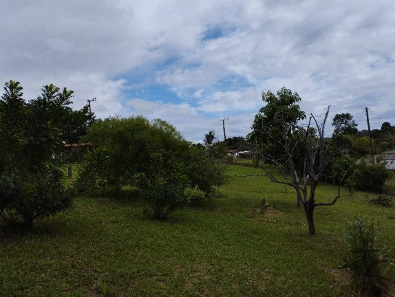 Imagem Terreno à Venda, 1 m² em Jardim Cananéia - Pilar Do Sul Imagem Terreno à Venda, 1 m² em Jardim Cananéia - Pilar Do Sul
