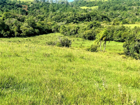 Imagem Chácara à Venda, 140.000 m² em Morungava - Gravataí Imagem Chácara à Venda, 140.000 m² em Morungava - Gravataí