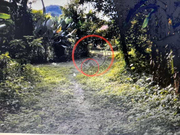Imagem Terreno à Venda, 1.400 m² em Boiçucanga - São Sebastião Imagem Terreno à Venda, 1.400 m² em Boiçucanga - São Sebastião