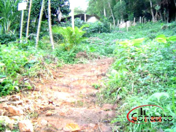 Imagem Terreno à Venda, 1.080 m² em Enseada - Ubatuba Imagem Terreno à Venda, 1.080 m² em Enseada - Ubatuba