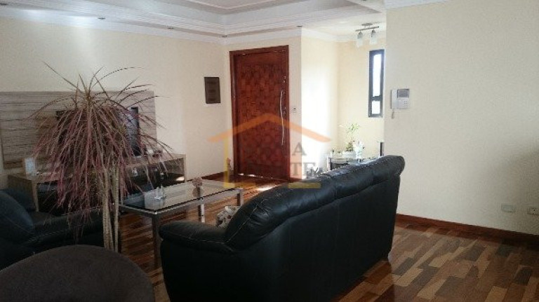 Imagem Casa com 5 Quartos à Venda, 450 m² em Jardim Franca - São Paulo Imagem Casa com 5 Quartos à Venda, 450 m² em Jardim Franca - São Paulo