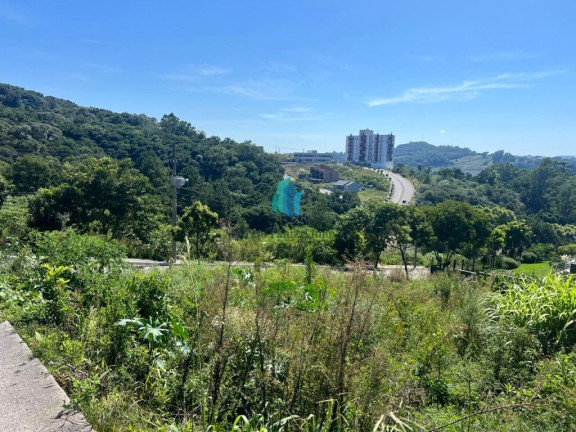 Imagem Terreno à Venda, 1.235 m² em Universitário - Bento Gonçalves Imagem Terreno à Venda, 1.235 m² em Universitário - Bento Gonçalves