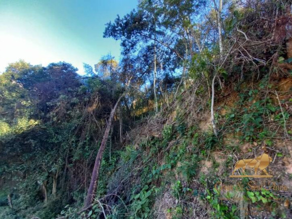 Imagem Terreno à Venda, 729 m² em V Britânia - Campos Do Jordão Imagem Terreno à Venda, 729 m² em V Britânia - Campos Do Jordão