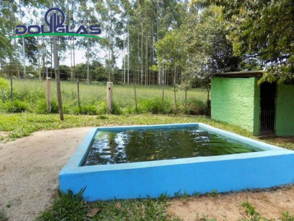 Imagem Chácara com 2 Quartos à Venda, 5.000 m² em Viamão Imagem Chácara com 2 Quartos à Venda, 5.000 m² em Viamão