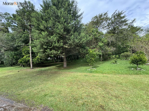 Imagem Terreno à Venda, 1.250 m² em Campo Largo Da Roseira - São José Dos Pinhais Imagem Terreno à Venda, 1.250 m² em Campo Largo Da Roseira - São José Dos Pinhais
