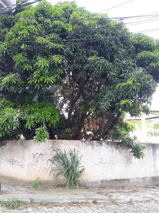 Imagem Terreno à Venda, 267 m² em Campo Grande - Rio De Janeiro Imagem Terreno à Venda, 267 m² em Campo Grande - Rio De Janeiro