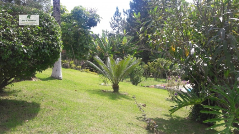 Imagem Chácara com 3 Quartos à Venda, 18.000 m² em Mailasqui - São Roque Imagem Chácara com 3 Quartos à Venda, 18.000 m² em Mailasqui - São Roque