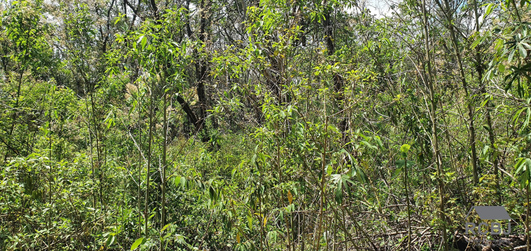 Imagem Terreno à Venda, 10.000 m² em Vista Alegre - Esmeraldas Imagem Terreno à Venda, 10.000 m² em Vista Alegre - Esmeraldas