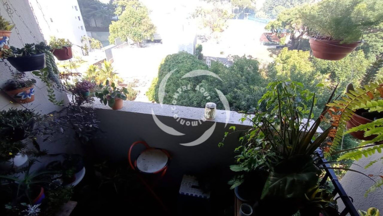 Foto do imóvel Apartamento com 3 Quartos à Venda, 79 m² em Vila Firmiano Pinto - São Paulo