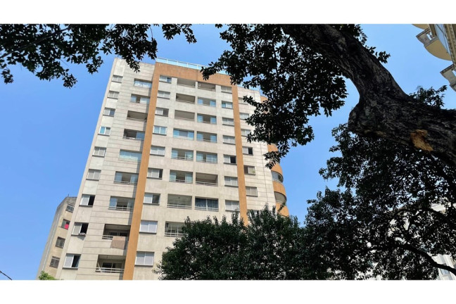 Apartamento com 1 Quarto à Venda, 31 m² em Santa Cecília - São Paulo