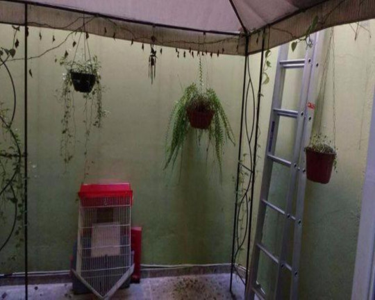 Imagem Apartamento com 3 Quartos à Venda, 160 m² em Vila Buarque - São Paulo