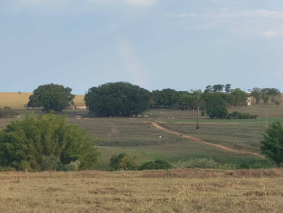 Imagem Fazenda à Venda, 726 m² em Vila Tazitsu - Presidente Prudente Imagem Fazenda à Venda, 726 m² em Vila Tazitsu - Presidente Prudente
