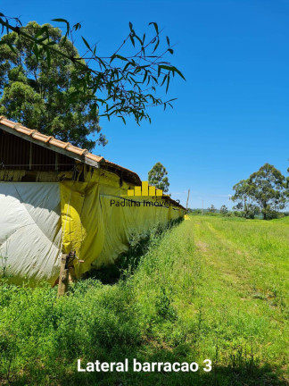 Imagem Chácara à Venda, 48.000 m² em Turvo Rodrigues - Itapetininga Imagem Chácara à Venda, 48.000 m² em Turvo Rodrigues - Itapetininga