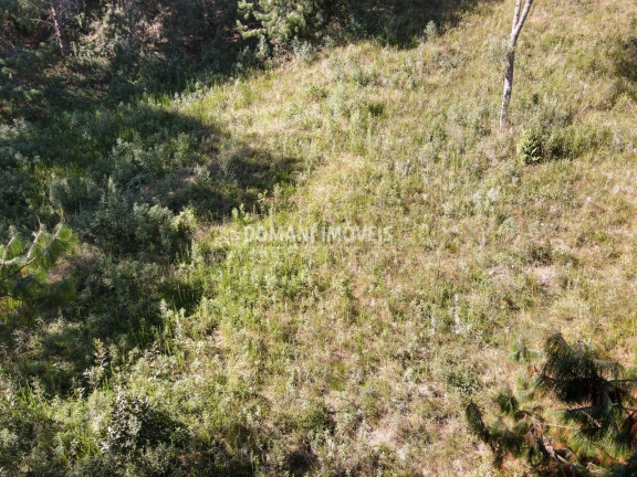Imagem Terreno à Venda, 1.215 m² em Região Do Alto Da Boa Vista - Campos Do Jordão Imagem Terreno à Venda, 1.215 m² em Região Do Alto Da Boa Vista - Campos Do Jordão