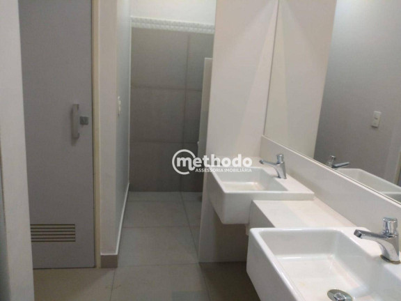 Imagem Sala Comercial para Alugar, 500 m² em Jardim Chapadão - Campinas Imagem Sala Comercial para Alugar, 500 m² em Jardim Chapadão - Campinas