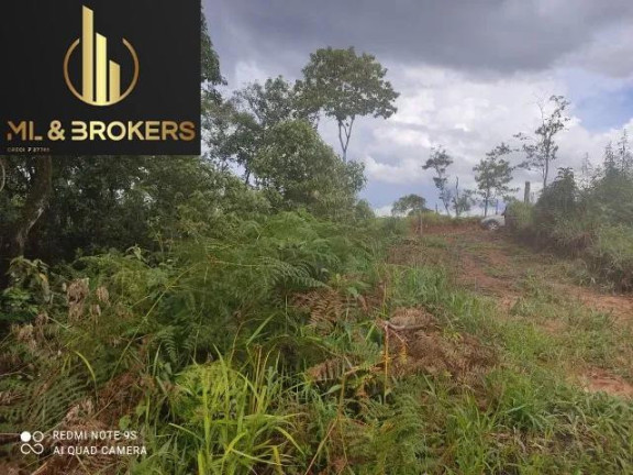 Imagem Imóvel à Venda, 20.000 m² em Sao Silvestre - Campo Largo