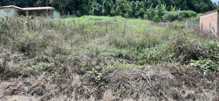 Imagem Imóvel com 1 Quarto à Venda, 1.000 m² em Bairro Marambaia (rural) - Bandeira Do Sul Imagem Imóvel com 1 Quarto à Venda, 1.000 m² em Bairro Marambaia (rural) - Bandeira Do Sul