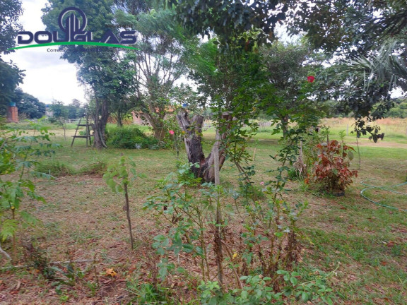 Imagem Chácara à Venda, 20.000 m² em Viamão Imagem Chácara à Venda, 20.000 m² em Viamão