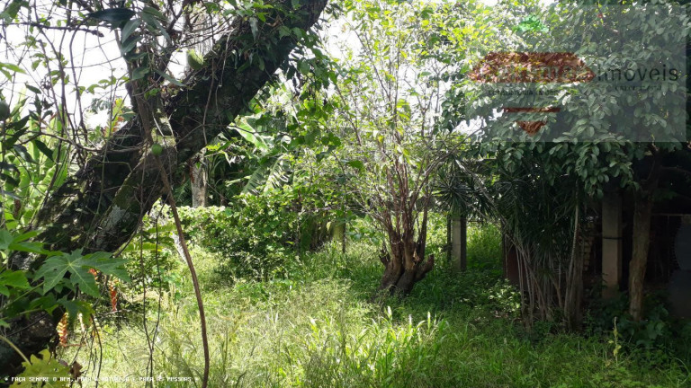Imagem Casa com 5 Quartos à Venda, 300 m² em Jardim Das Nações - Taubaté