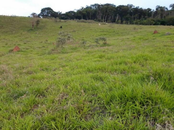 Imagem Terreno à Venda, 2.000 m² em Santa Luzia Rural - Taubaté Imagem Terreno à Venda, 2.000 m² em Santa Luzia Rural - Taubaté