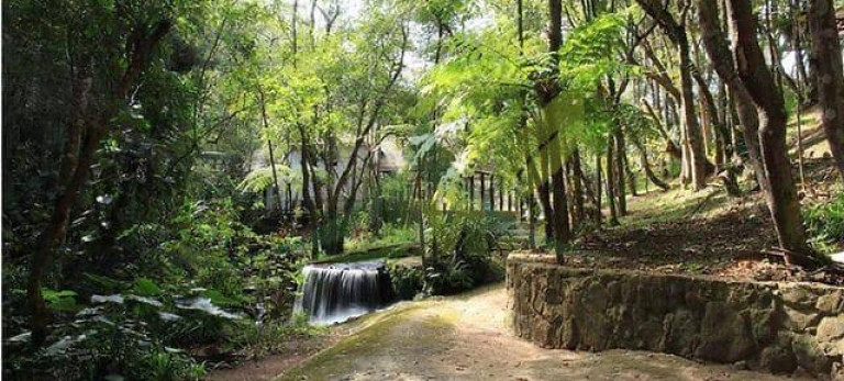 Imagem Chácara com 13 Quartos à Venda, 47.000 m² em Atibaia Vista Da Montanha - Atibaia Imagem Chácara com 13 Quartos à Venda, 47.000 m² em Atibaia Vista Da Montanha - Atibaia