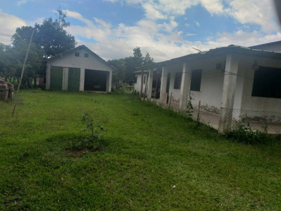 Imagem Chácara com 3 Quartos à Venda, 27 m² em General Neto - Triunfo
