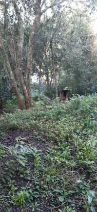 Imagem Imóvel com 2 Quartos à Venda, 50 m² em Martinica - Viamão