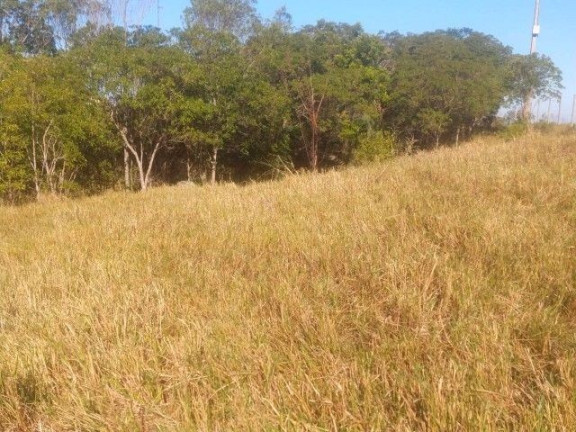 Imagem Terreno à Venda, em Ressacada - Garopaba Imagem Terreno à Venda, em Ressacada - Garopaba