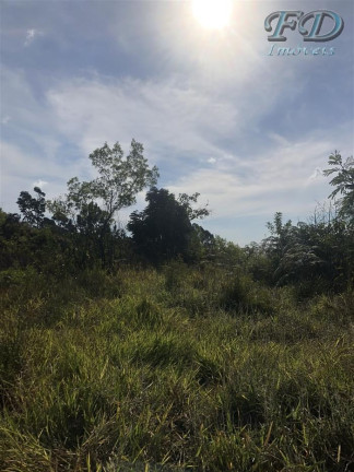 Imagem Terreno à Venda, 61.861 m² em Terra Preta (terra Preta) - Mairiporã Imagem Terreno à Venda, 61.861 m² em Terra Preta (terra Preta) - Mairiporã