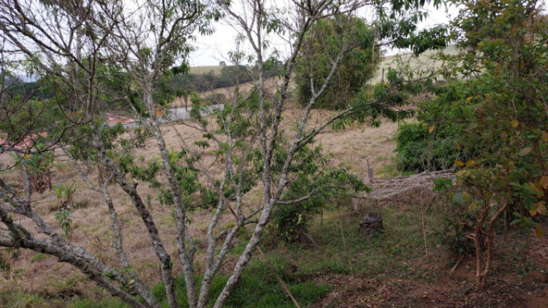 Imagem Chácara com 1 Quarto à Venda, 100 m² em Centro - Toledo