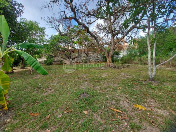 Imagem Fazenda à Venda, 2.000 m² em Zona Rural - São José De Mipibu Imagem Fazenda à Venda, 2.000 m² em Zona Rural - São José De Mipibu