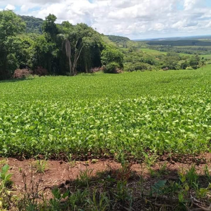 Imagem Chácara à Venda, 5 m² em Rural - Itatinga Imagem Chácara à Venda, 5 m² em Rural - Itatinga