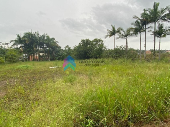 Imagem Terreno à Venda, 2 m² em Corticeira - Guaramirim