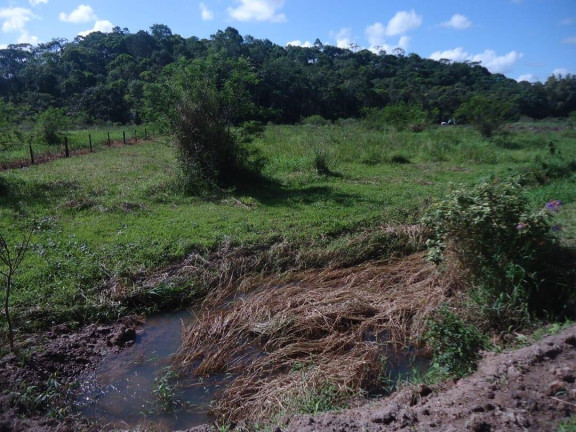 Imagem Chácara com 4 Quartos à Venda, 20 m² em Barra Velha
