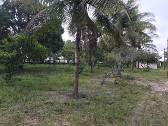 Imagem Fazenda à Venda, 29.077 m² em área Rural De Alagoinhas - Alagoinhas Imagem Fazenda à Venda, 29.077 m² em área Rural De Alagoinhas - Alagoinhas