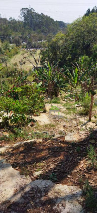 Imagem Casa com 4 Quartos à Venda, 1 m² em Parque Das Rosas - Cotia