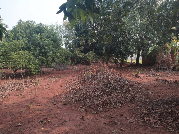 Imagem Chácara à Venda, 2 m² em Vilagio Das Palmeiras - Sabáudia Imagem Chácara à Venda, 2 m² em Vilagio Das Palmeiras - Sabáudia