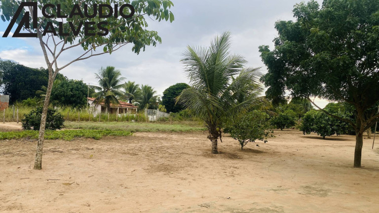 Imagem Terreno à Venda, 14.000 m² em Br 116 Norte - Santa Bárbara Imagem Terreno à Venda, 14.000 m² em Br 116 Norte - Santa Bárbara